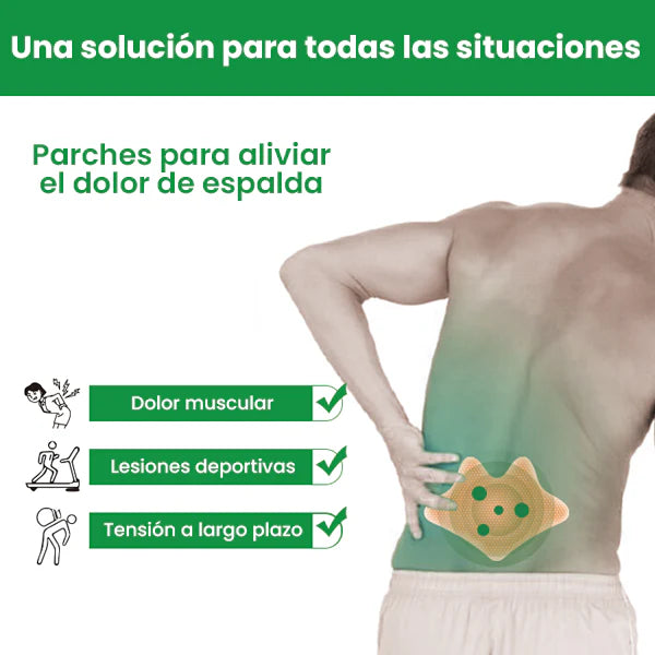 KNEE PLASTER (12 Parches anti dolor) 🌿🫚 + 10 Parches Adelgazantes GRATIS 🎁